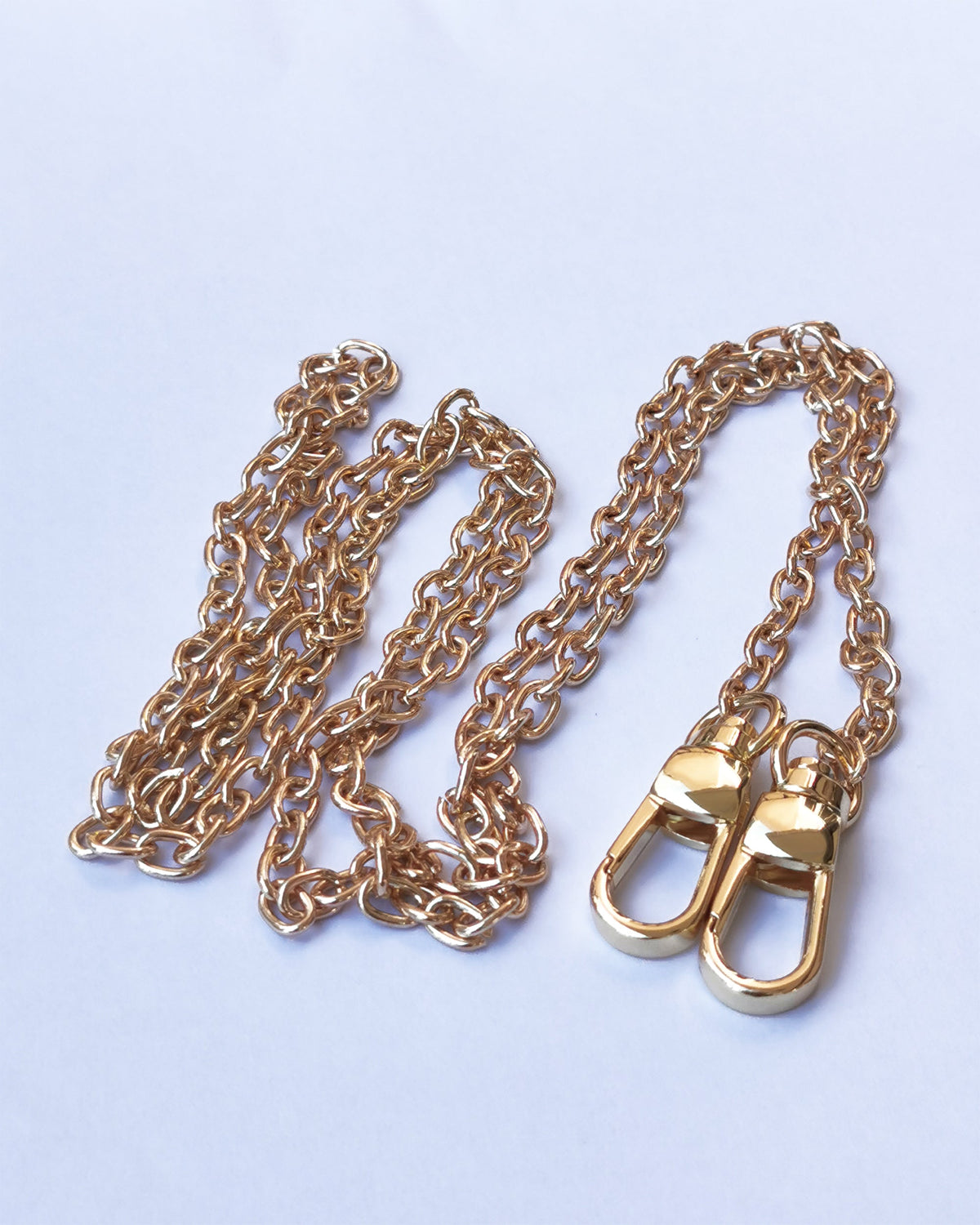 Neverfull Pochette Pouch Ring Hook and Golden/Silver Chain Strap - Con