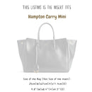 Organizer for [Hampton Carry Mini, Balenciaga] Bag Insert (Felt, Long Zip and Open Compartment)