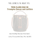 Organizer for [Teen Clara Bag, Celine] Bag Insert (Silk, Long Zip and Open Compartment)