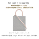 Organizer for [Mini Vertical Cabas, Celine] Bag Insert (Felt, Slim with Zip Pocket)