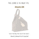 Organizer for [Atlantis GM, LV] Bag Insert (Felt, Long Zip and Open Compartment)