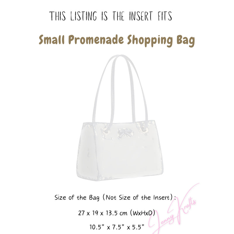 Organizer for [Small Promenade Shopping Bag, Dior] Tote Purse Bag